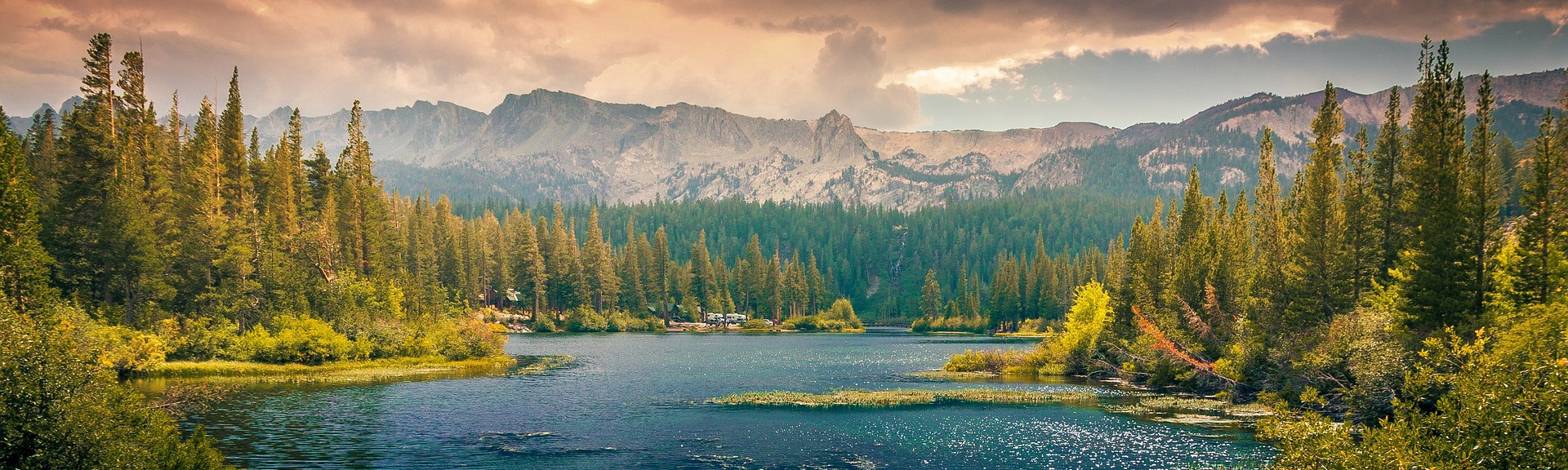 Jackson Mikluho-Maklai